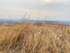 -恋山坝上草原