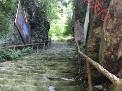 -天女山森林公园