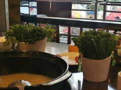 -蜀中吴养生板栗鸡(会展店)
