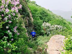 -北京西山国家森林公园