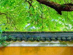 -普陀山风景区-佛顶山