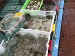 -七鲜渔港美食餐厅(巽寮湾海景店)