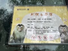 -重庆动物园·东二门售票处