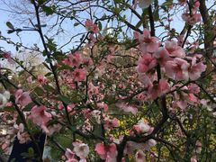 -manabe (共和新路店)