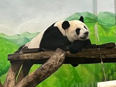 -柳州市动物园
