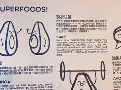 -油梨树AVOCADO TREE(望京店)