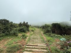 -大姆山草场