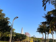 -深圳湾公园(南山区)