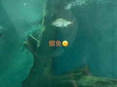 -苏州海洋馆