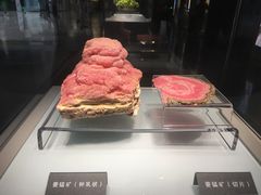 -安徽省地质博物馆