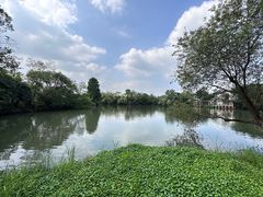 -新荣记(西溪湿地店)