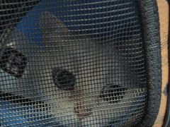 -联合动物医院(光谷诊疗中心)