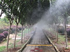 -武汉紫薇都市田园