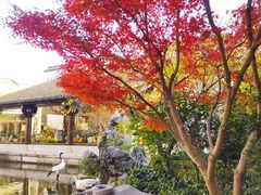 -广富林宰相府酒店·水云间
