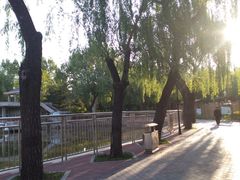 -黄村公园