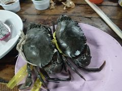 -Jomtien Talay Pao Pattaya