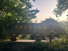 -中国茶叶博物馆(双峰馆区)