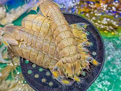 -初色海鲜自助(万丰路店)
