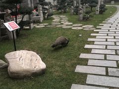 -亮宝楼国宴+文化陕菜