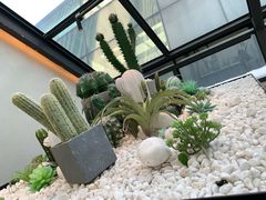 -大树餐厅(红旗街万达店)