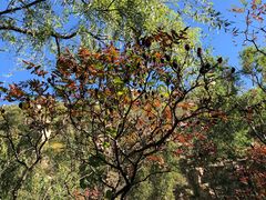 -碓臼峪自然风景区