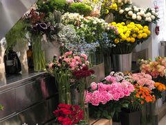 -植物学家的女儿(北马道巷店)