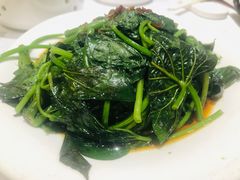 -宝园酒家(美林M·LIVE天地东座店)