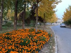 -中家鑫园温泉酒店鑫悦汤泉