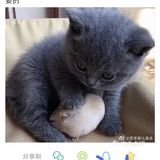 生活总是这样出其不意