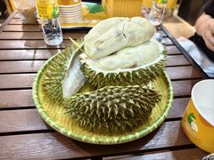 -榴莲BB 四季果园