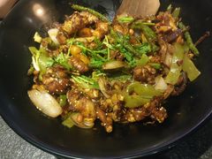 -食乐佳麻辣香锅(森林摩尔商业街区店)