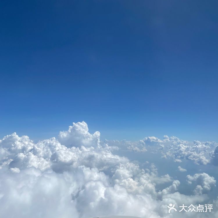 人一定要多出去走走☁️蓝蓝的天空看这心情都特别好