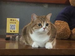 -咖法森林·咖啡  酒吧(天河店)