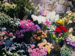 -植物学家的女儿(北马道巷店)