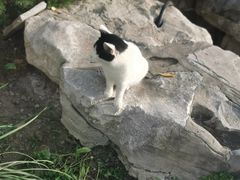 -李叔同故居纪念馆