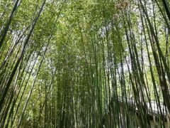 -竹泉村旅游度假区