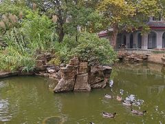 -东湖落雁景区