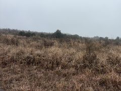 -龙里油画大草原旅游区