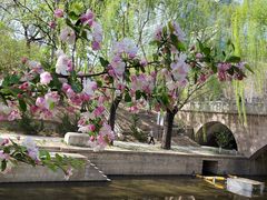 -元大都城垣遗址公园