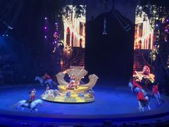 -广州长隆国际大马戏