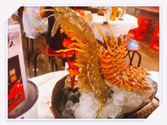 -鲜入围煮花胶鸡海鲜火锅