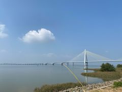 -芒洲湿地公园