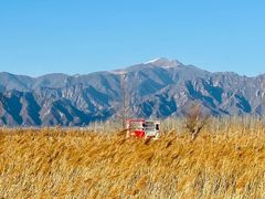 -野鸭湖国家湿地公园