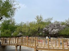 -建国公园