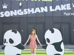 -东莞松山湖万象汇