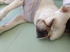 -怪兽屋·羊驼·猫咖·狗咖(俊华广场店)