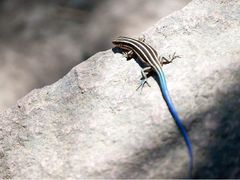 -楠溪江风景名胜区