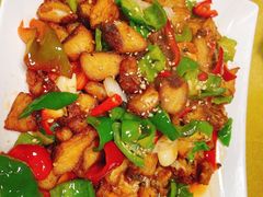 -煲来饱去冷水鱼