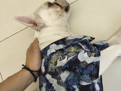 -怪兽屋·羊驼·猫咖·狗咖(俊华广场店)