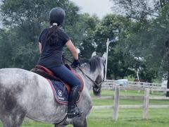 -北京群众马术培训基地